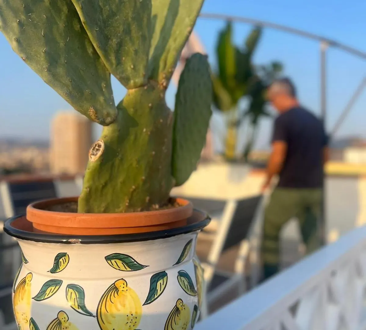 La Terrazza Sul Cielo Apartment Catania